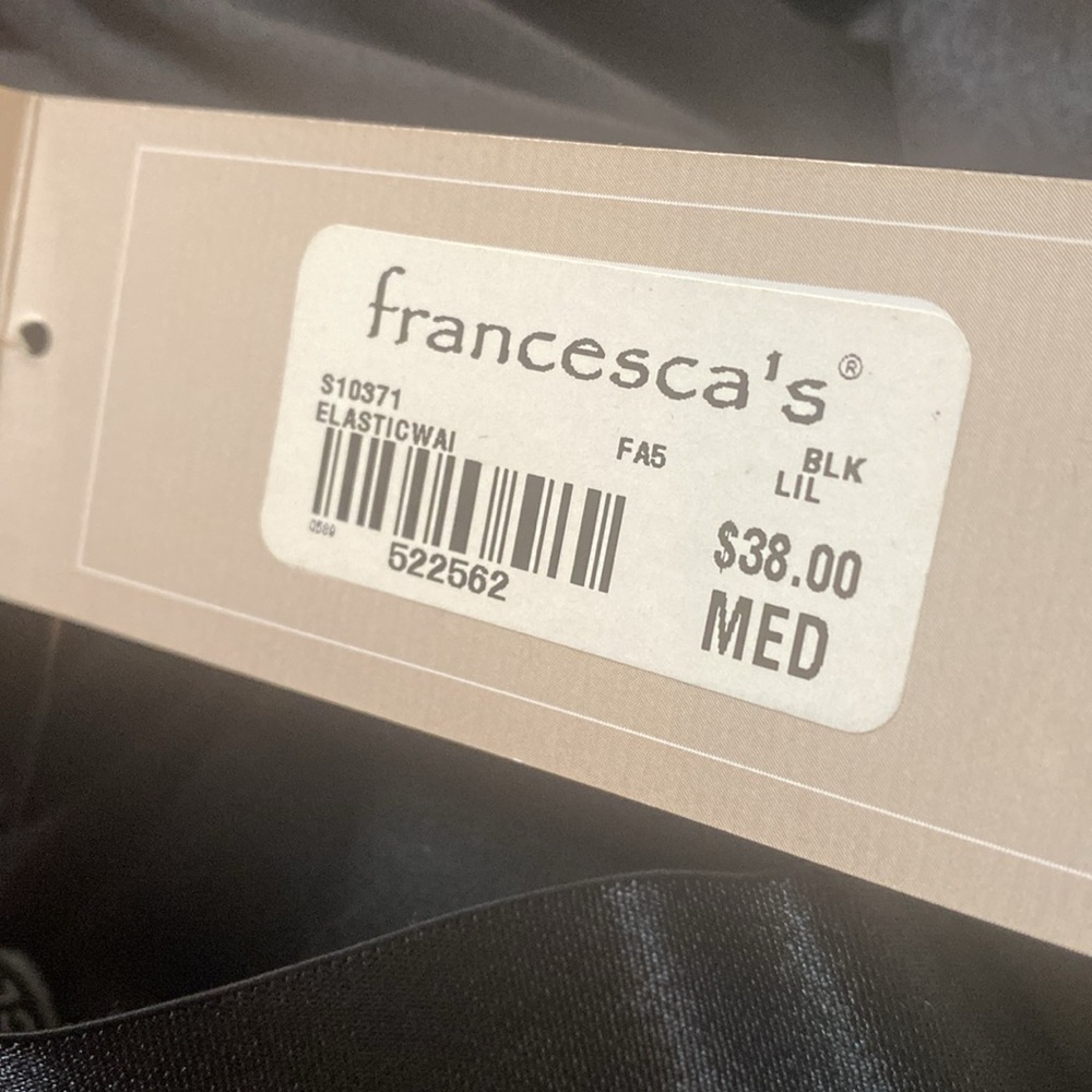 Francesca’s Clara Black Tulle Midi Skirt - Picture 7 of 7